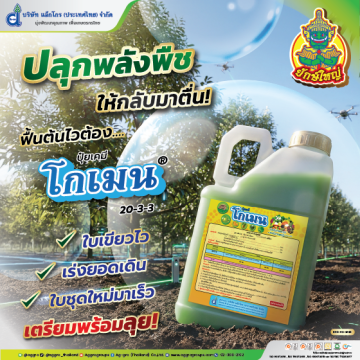 โกเมน